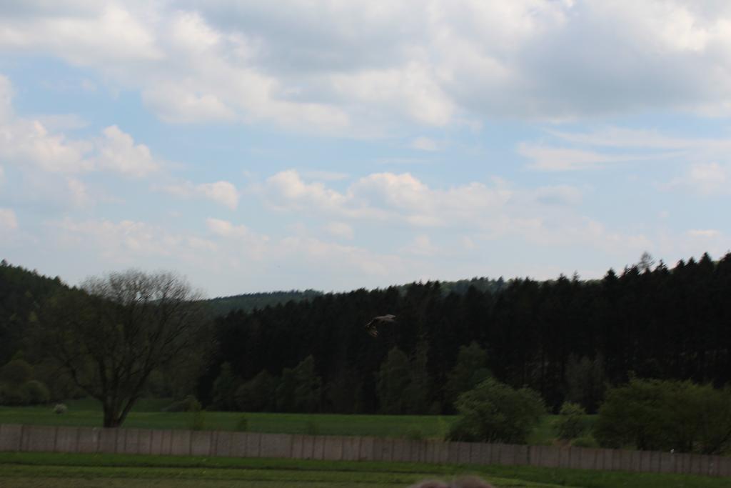 Ferienwohnung Haus Alice Bad Sooden-Allendorf Zimmer foto